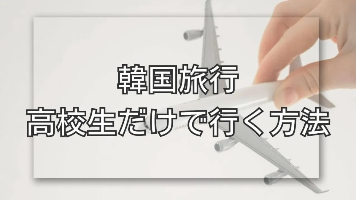 高校生だけで韓国旅行に行く方法は？手で飛行機を持つ画像