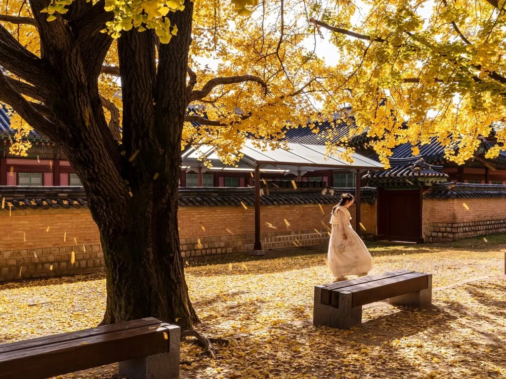 秋の韓国、10月の韓国旅行を格安で楽しむ