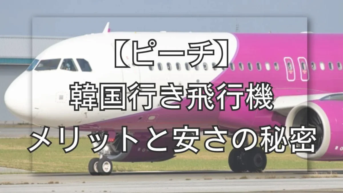 ピーチ航空の飛行機