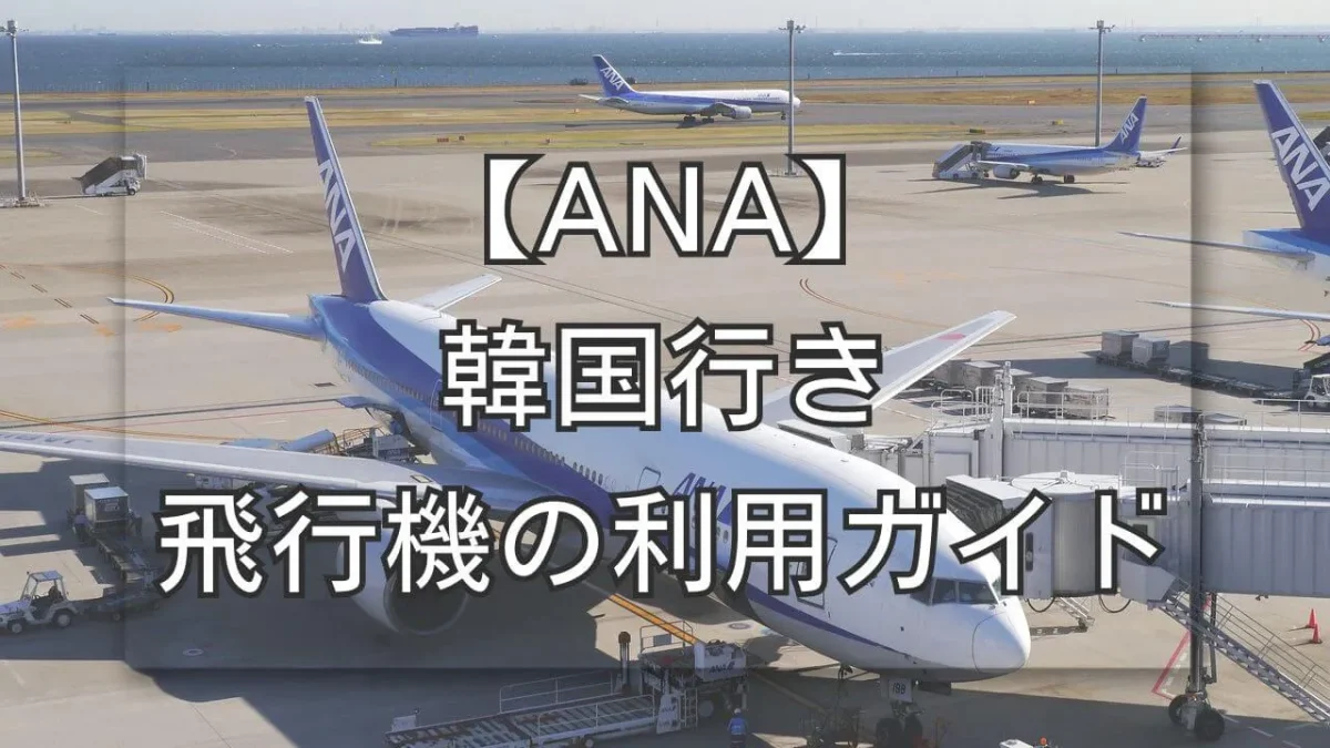 ANAの飛行機が写っているサムネイル画像