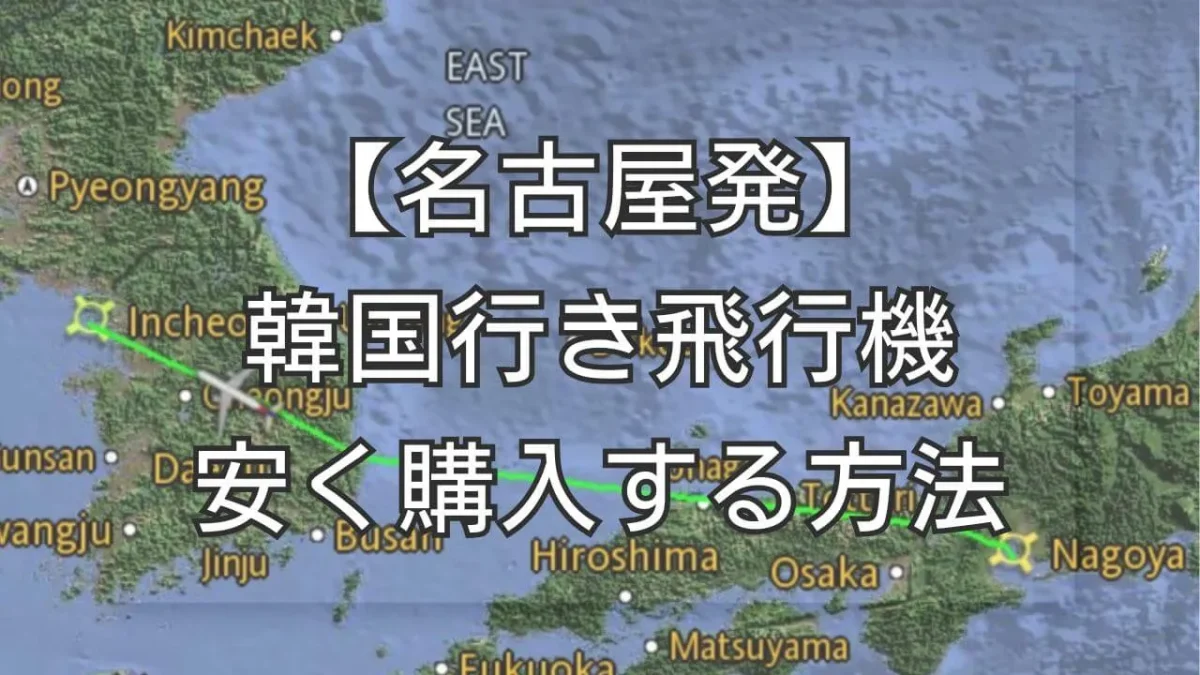 名古屋から韓国までのフライトシミュレーター