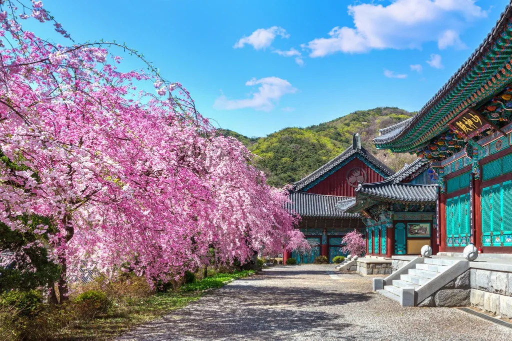 4月の韓国旅行の値段とおすすめ時期