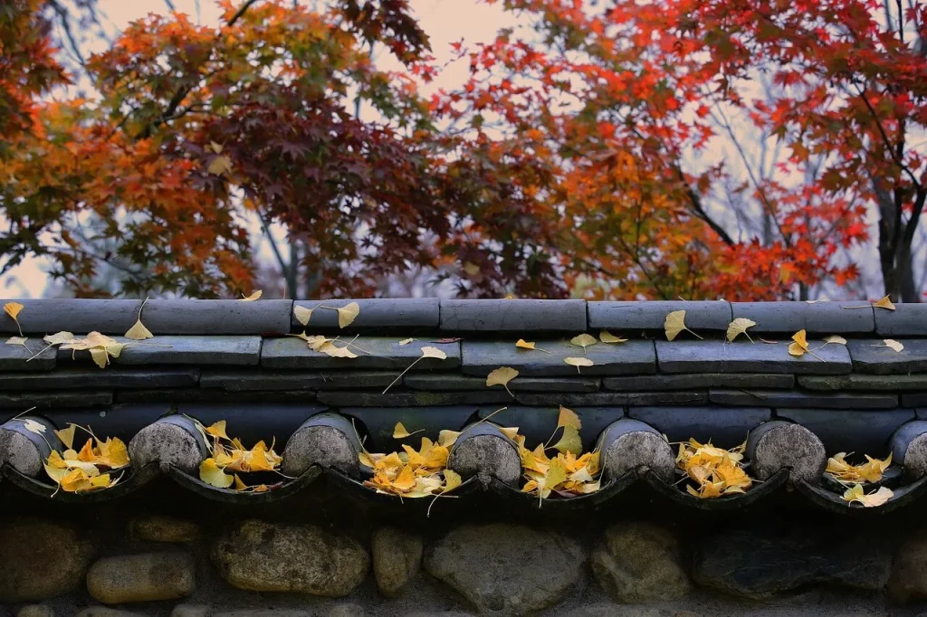 韓国旅行で避けるべき時期