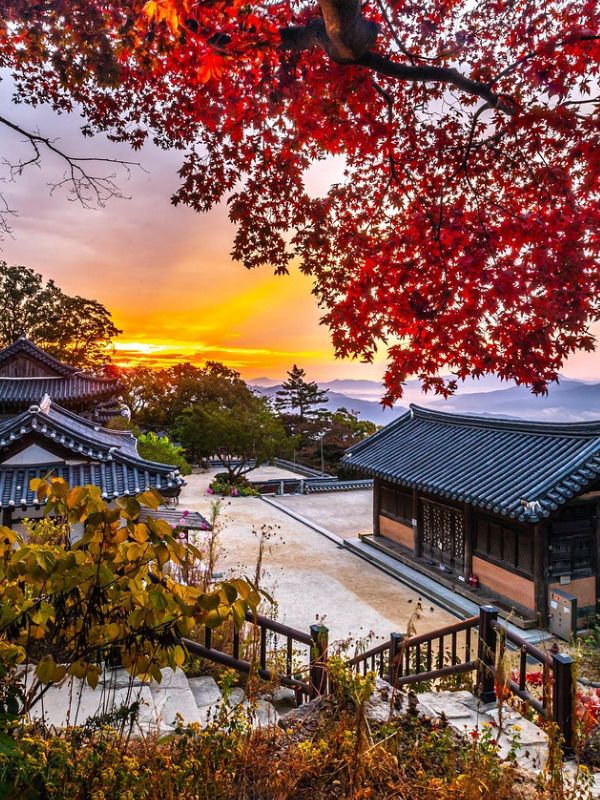 紅葉のソウル街歩き